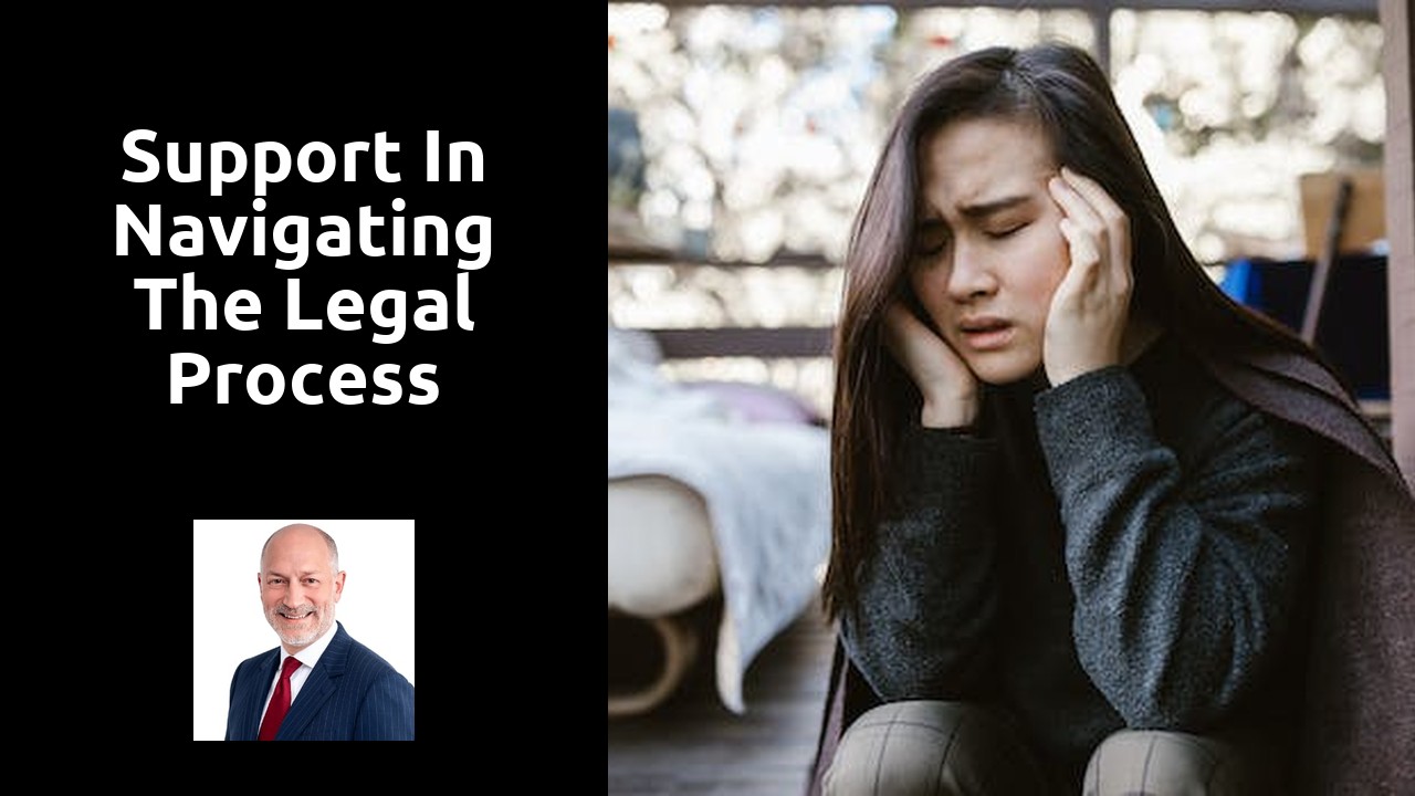 Support in navigating the legal process